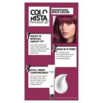 L'Oreal Paris Colorista Violet Purple Permanent Gel Hair Dye 5.26 Violet